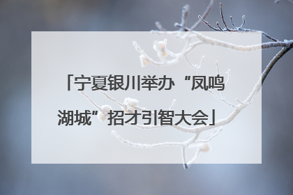 宁夏银川举办“凤鸣湖城”招才引智大会