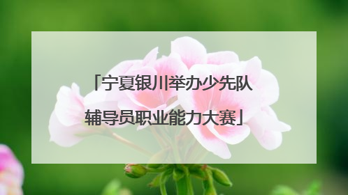 宁夏银川举办少先队辅导员职业能力大赛