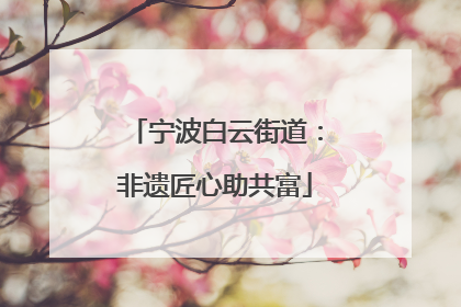 宁波白云街道：非遗匠心助共富