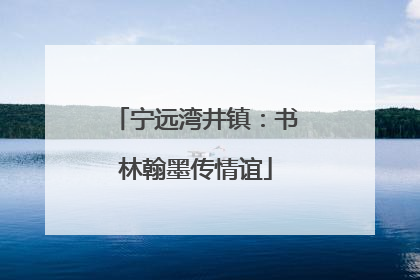 宁远湾井镇：书林翰墨传情谊