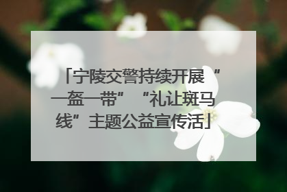 宁陵交警持续开展“一盔一带”“礼让斑马线”主题公益宣传活