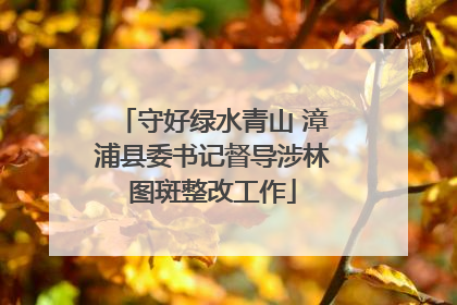 守好绿水青山 漳浦县委书记督导涉林图斑整改工作