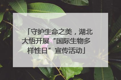 守护生命之美，湖北大悟开展“国际生物多样性日”宣传活动