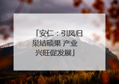 安仁：引凤归巢结硕果 产业兴旺促发展