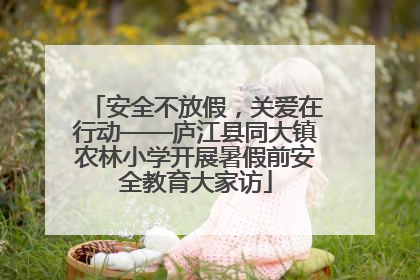 安全不放假，关爱在行动——庐江县同大镇农林小学开展暑假前安全教育大家访