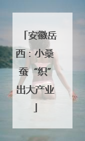 安徽岳西：小桑蚕“织”出大产业