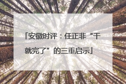安徽时评：任正非“干就完了”的三重启示