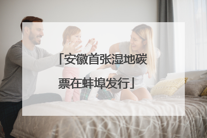 安徽首张湿地碳票在蚌埠发行