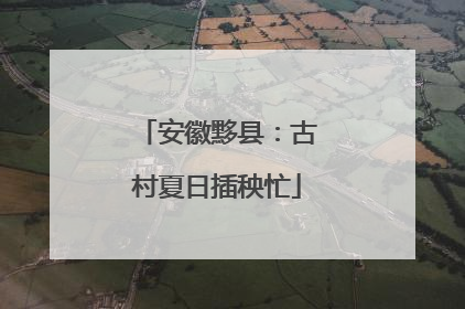 安徽黟县：古村夏日插秧忙