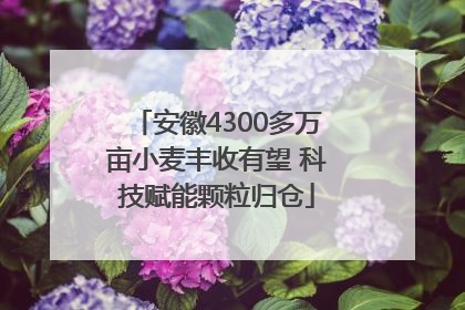 安徽4300多万亩小麦丰收有望 科技赋能颗粒归仓