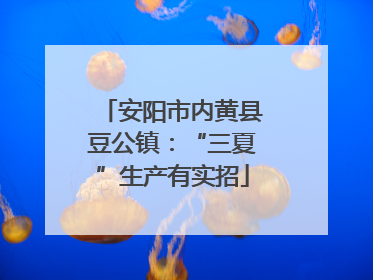安阳市内黄县豆公镇：“三夏”生产有实招