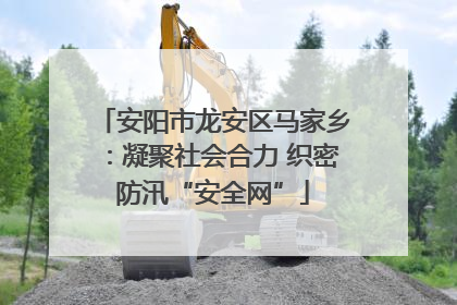 安阳市龙安区马家乡：凝聚社会合力 织密防汛“安全网”