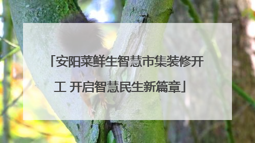 安阳菜鲜生智慧市集装修开工 开启智慧民生新篇章