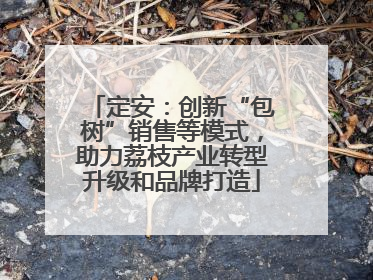 定安：创新“包树”销售等模式，助力荔枝产业转型升级和品牌打造