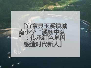 宜章县玉溪镇城南小学“溪韧中队”：传承红色基因 锻造时代新人
