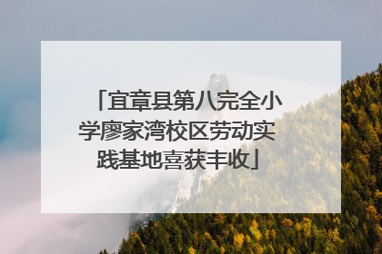宜章县第八完全小学廖家湾校区劳动实践基地喜获丰收