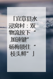 宜章县水浸窝村：双物流按下“加速键” 杨梅锁住“枝头鲜”