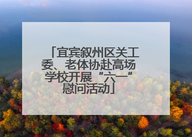 宜宾叙州区关工委、老体协赴高场学校开展“六一”慰问活动