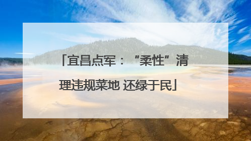 宜昌点军：“柔性”清理违规菜地 还绿于民
