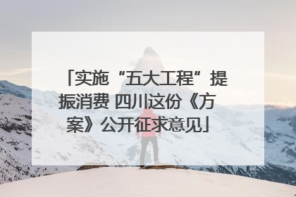 实施“五大工程”提振消费 四川这份《方案》公开征求意见