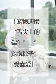 宠物迎接“舌尖上的端午” “宠物粽子”受喜爱