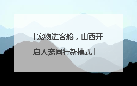 宠物进客舱，山西开启人宠同行新模式