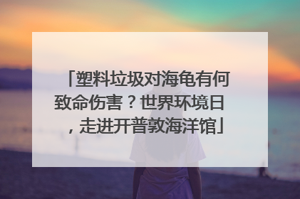 塑料垃圾对海龟有何致命伤害？世界环境日，走进开普敦海洋馆