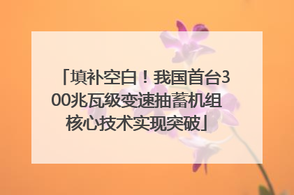 填补空白！我国首台300兆瓦级变速抽蓄机组核心技术实现突破