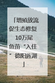 增殖放流促生态修复 10万尾鱼苗“入住”德阳旌湖