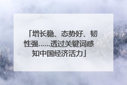 增长稳、态势好、韧性强……透过关键词感知中国经济活力