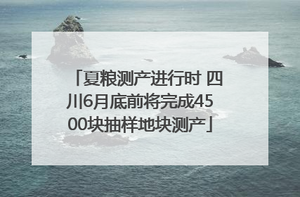 夏粮测产进行时 四川6月底前将完成4500块抽样地块测产