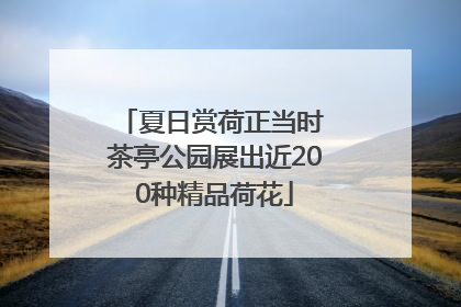 夏日赏荷正当时 茶亭公园展出近200种精品荷花
