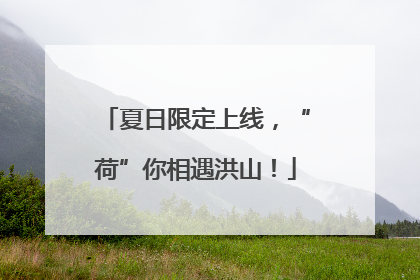 夏日限定上线，“荷”你相遇洪山！