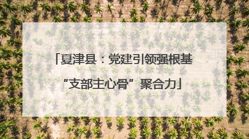 夏津县：党建引领强根基 “支部主心骨”聚合力