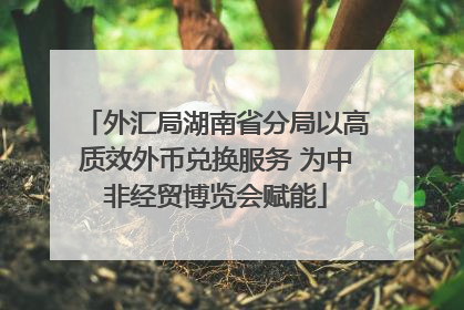 外汇局湖南省分局以高质效外币兑换服务 为中非经贸博览会赋能