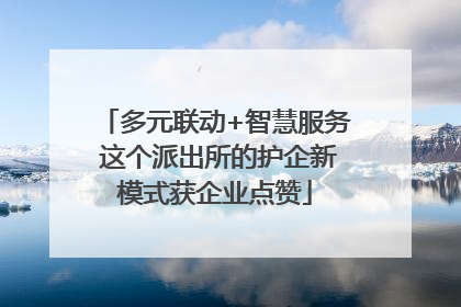 多元联动+智慧服务 这个派出所的护企新模式获企业点赞