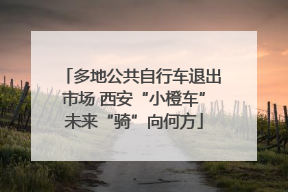 多地公共自行车退出市场 西安“小橙车”未来“骑”向何方