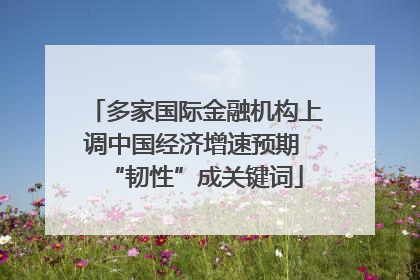 多家国际金融机构上调中国经济增速预期 “韧性”成关键词