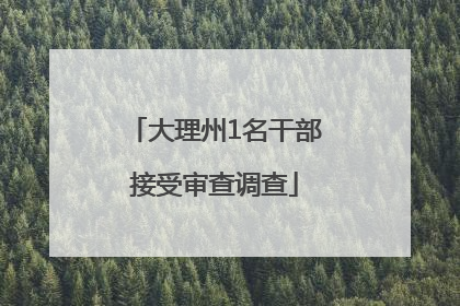大理州1名干部接受审查调查