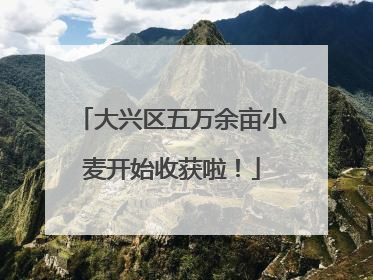 大兴区五万余亩小麦开始收获啦！