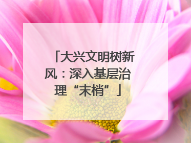大兴文明树新风：深入基层治理“末梢”