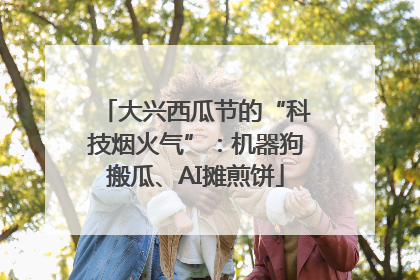 大兴西瓜节的“科技烟火气”:机器狗搬瓜、AI摊煎饼