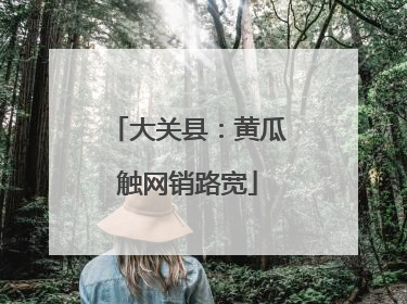 大关县：黄瓜触网销路宽