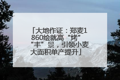 大地作证：郑麦1860绘就高“烤”“丰”景，引领小麦大面积单产提升
