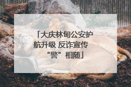 大庆林甸公安护航升级 反诈宣传“警”相随