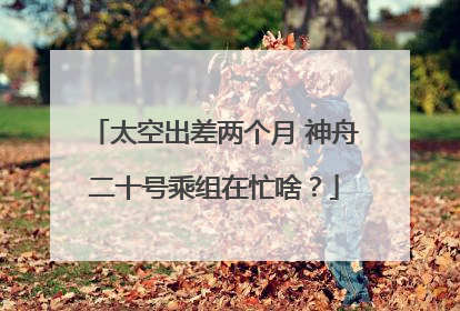 太空出差两个月 神舟二十号乘组在忙啥？