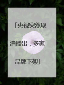 央视突然取消播出，多家品牌下架