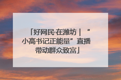 好网民·在潍坊｜“小高书记正能量”直播 带动群众致富
