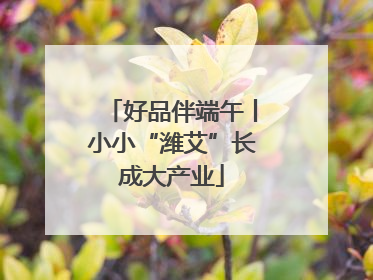 好品伴端午丨小小“潍艾”长成大产业