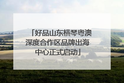 好品山东横琴粤澳深度合作区品牌出海中心正式启动